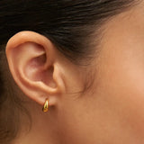 Zenith Hoops