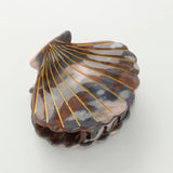 Calcutta Seashell Mini Claw Clip