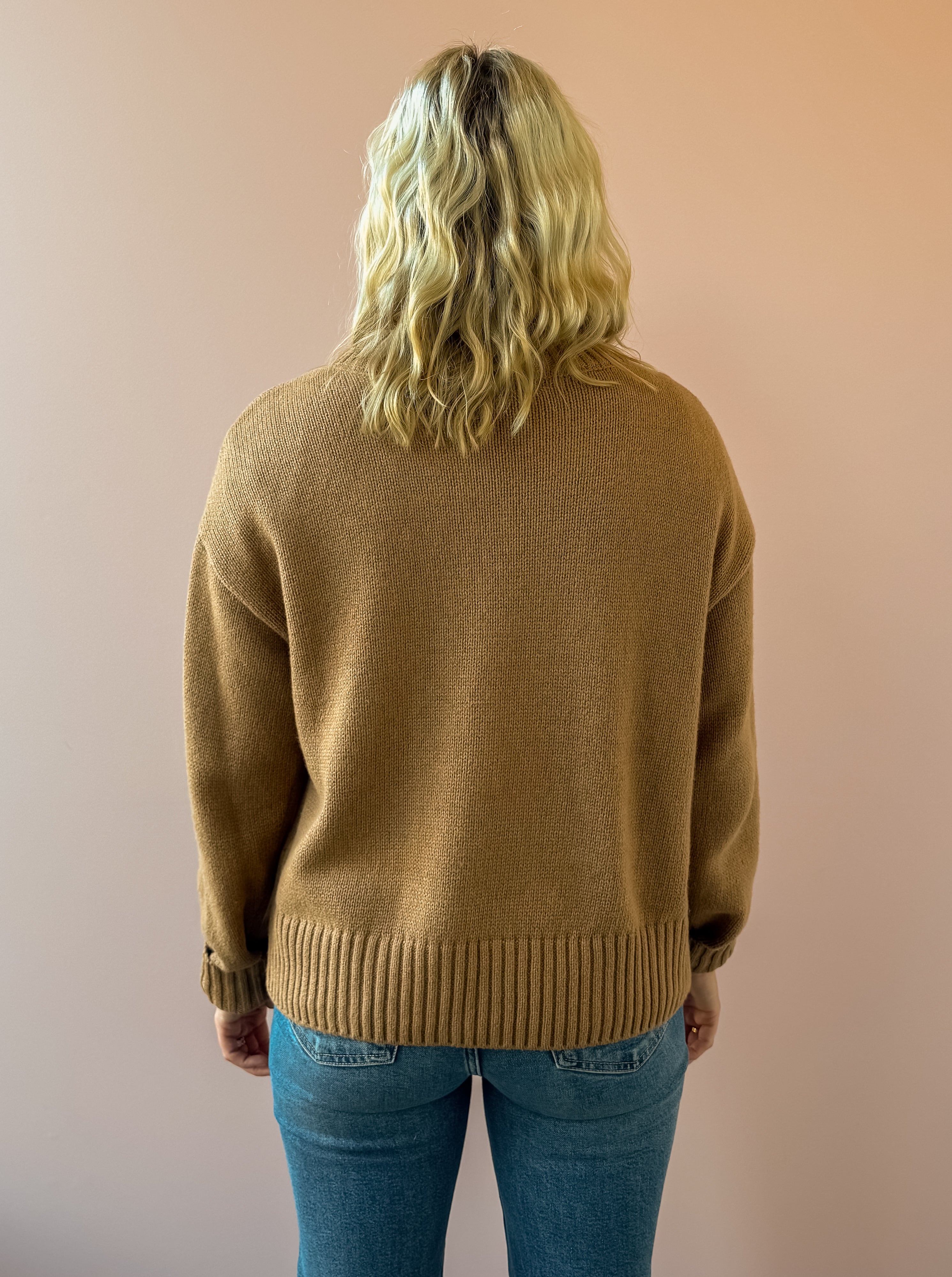 Z Supply Cloud Spun V-neck Sweater in beige, back view.