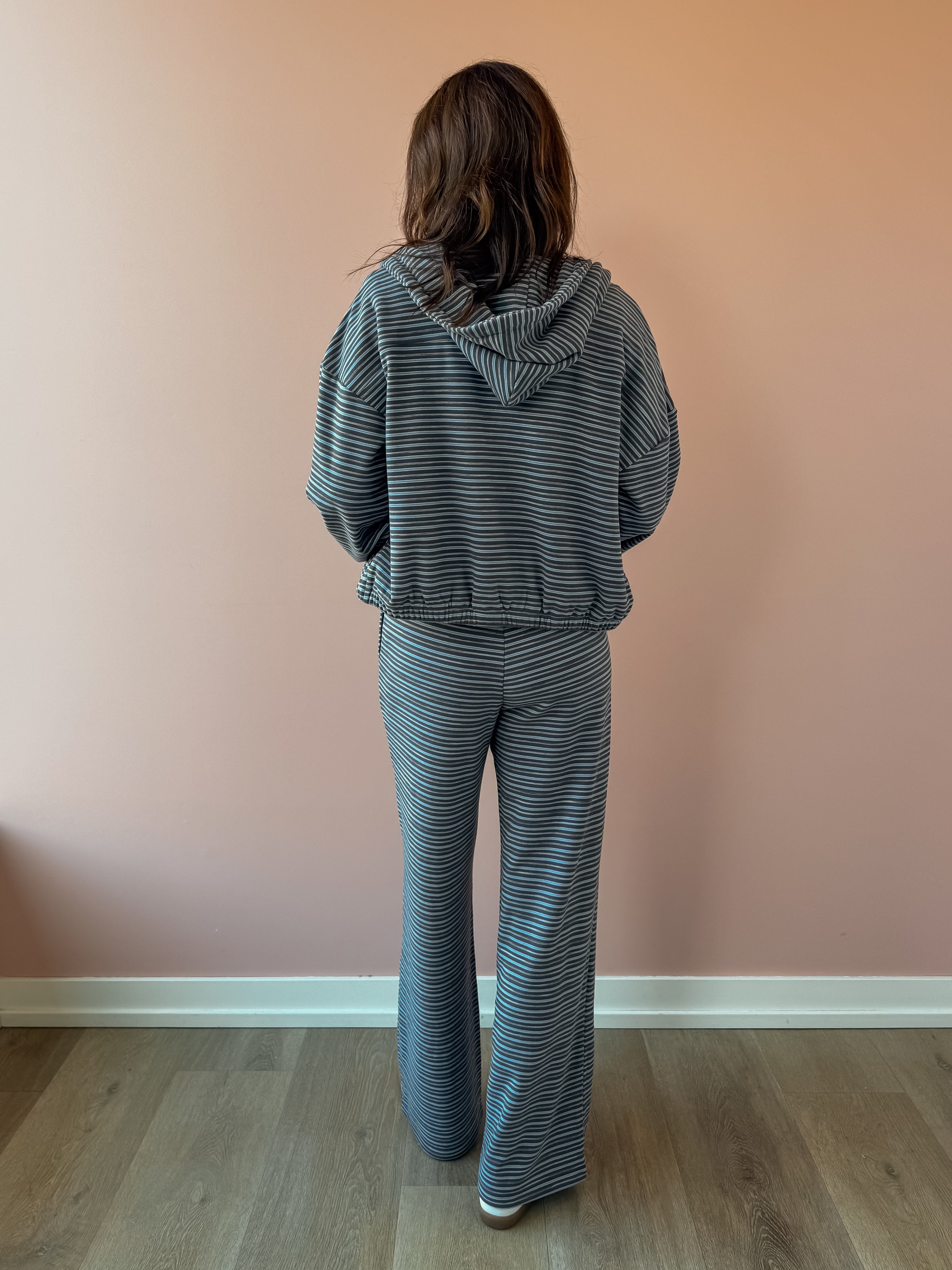 Bailey Rose Jessica Striped Fleece Wide Leg Pants in blue stripe, full-length back view.
