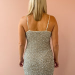 Sadie & Sage Luster Sequin Mini Dress in silver, back close-up.